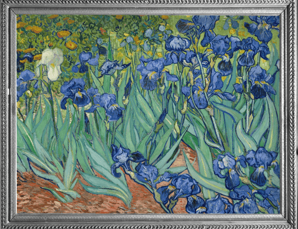 Fine Art RainCaper - van Gogh "Irises"